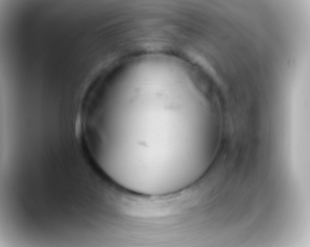 X0000088450019200706051314
