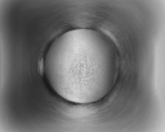 X0000088450020200706051314