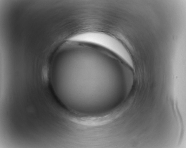 X0000088450023200706051314