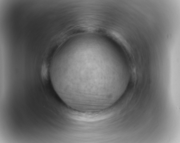 X0000088450026200706051314