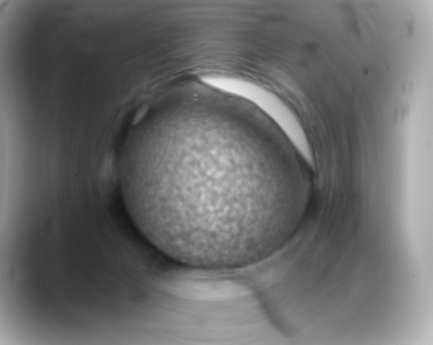 X0000088450029200706051314
