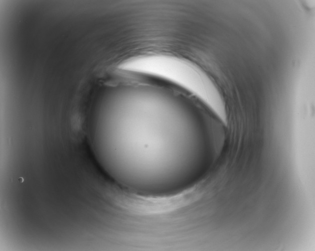X0000088450031200706051314