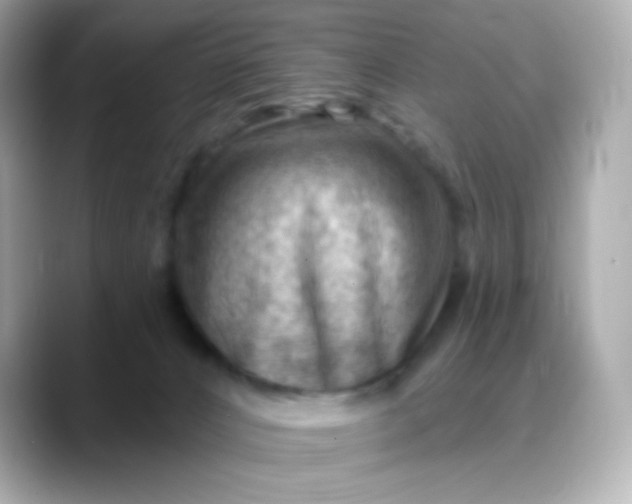 X0000088450032200706051314