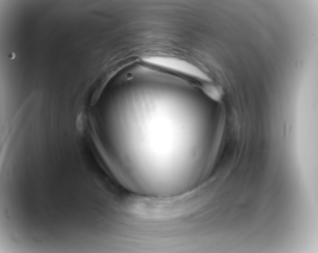 X0000088450033200706051314