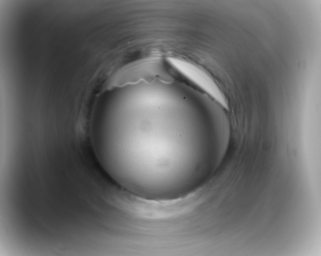 X0000088450035200706051314