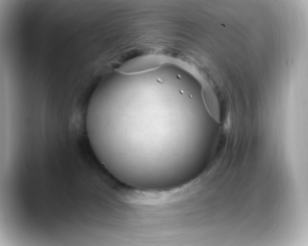 X0000088450037200706051314