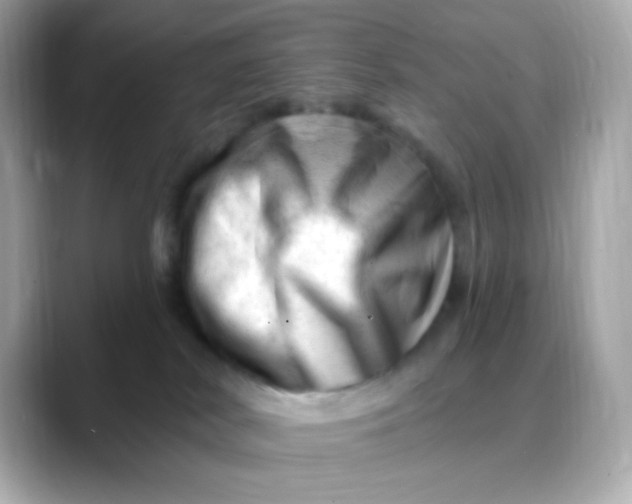 X0000088450038200706051314