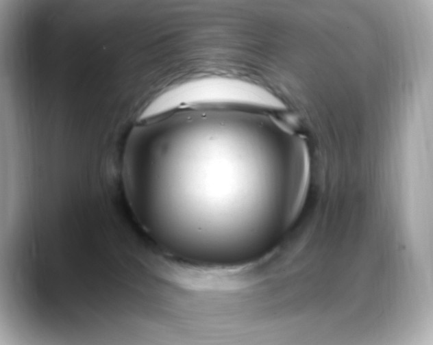 X0000088450040200706051314