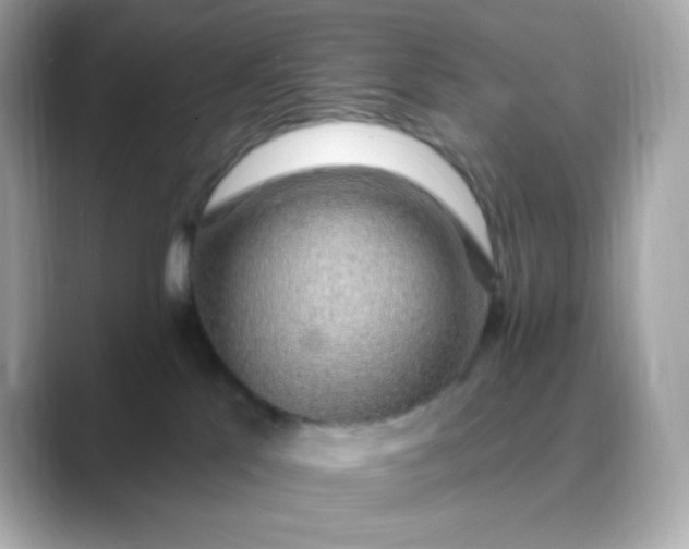 X0000088450041200706051314