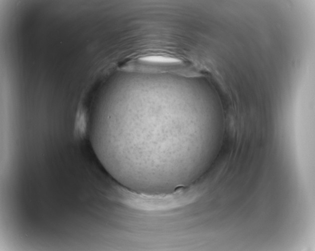 X0000088450042200706051314