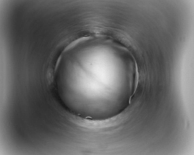 X0000088450043200706051314
