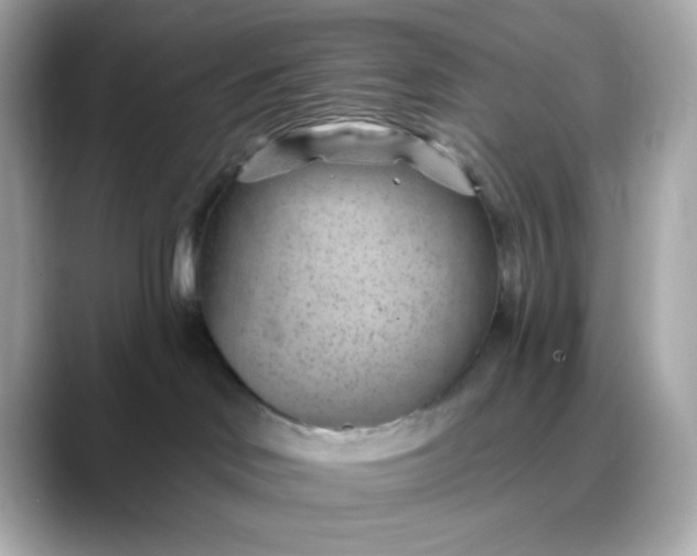 X0000088450046200706051314