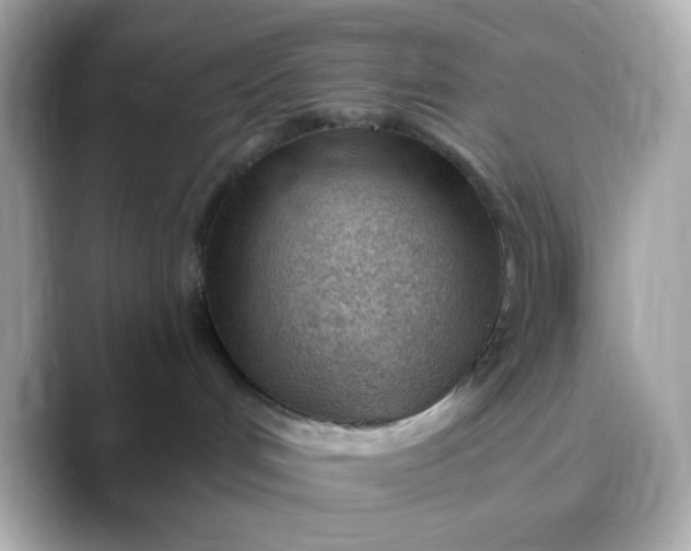 X0000088450048200706051314