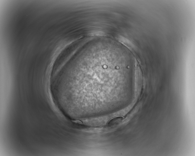 X0000088450049200706051313