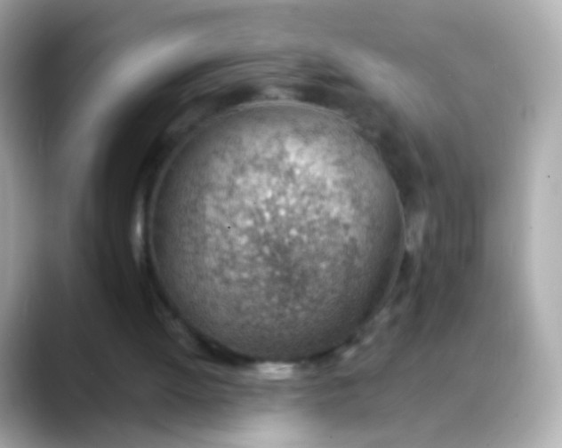 X0000088450052200706051313