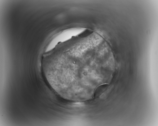 X0000088450053200706051313