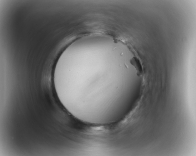 X0000088450054200706051313