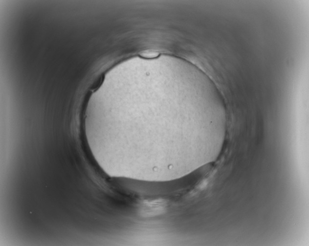 X0000088450055200706051313