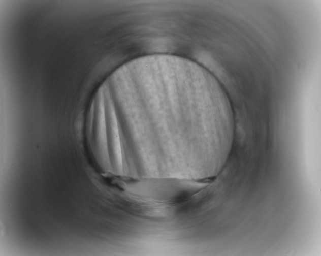 X0000088450058200706051313