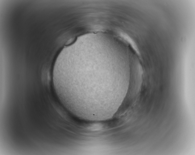 X0000088450059200706051313
