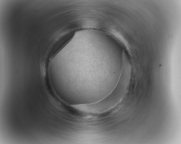 X0000088450060200706051313