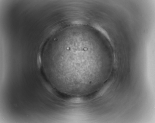 X0000088450061200706051314