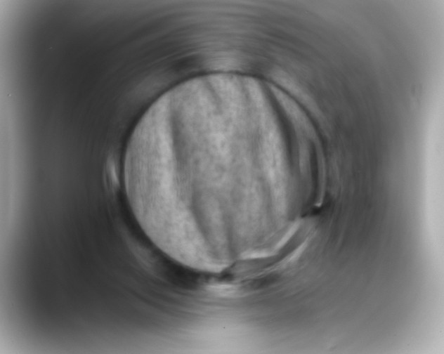 X0000088450062200706051314