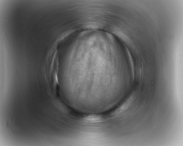 X0000088450064200706051314