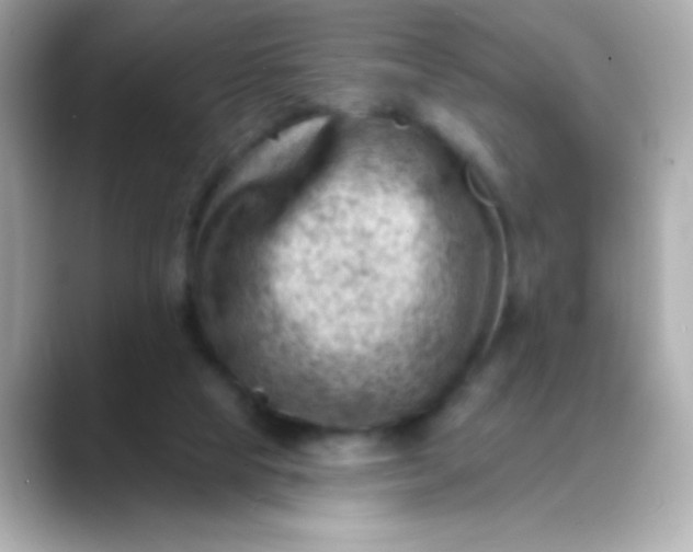 X0000088450065200706051314