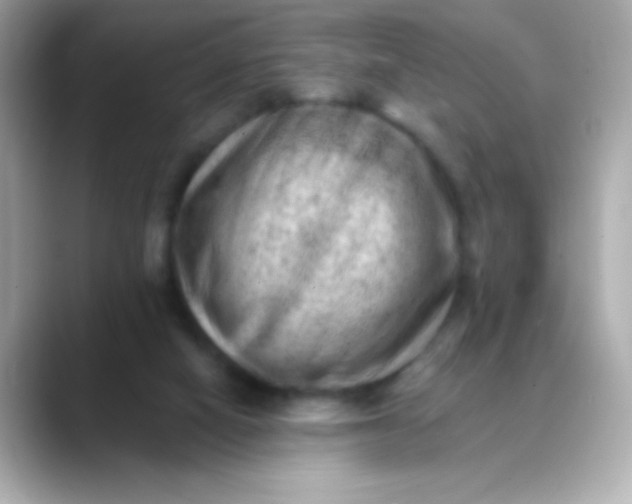 X0000088450066200706051314