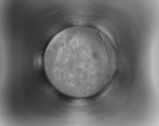 X0000088450067200706051314