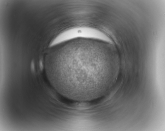 X0000088450069200706051314