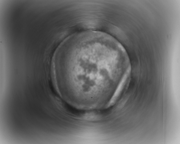 X0000088450070200706051314