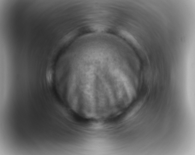 X0000088450071200706051314