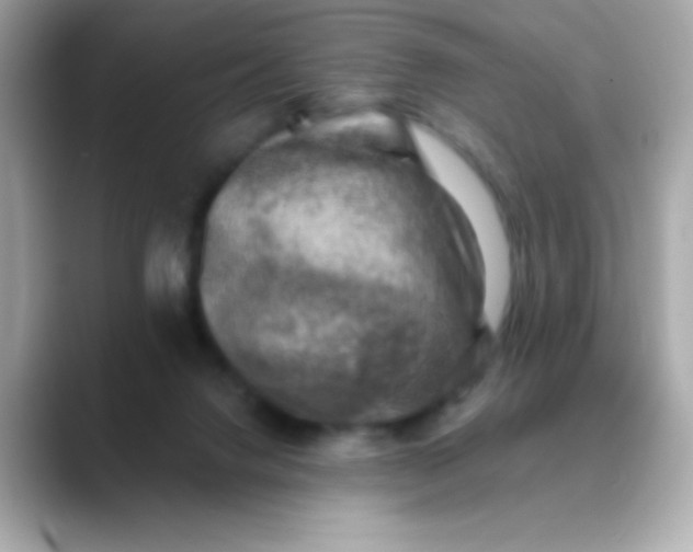 X0000088450072200706051314
