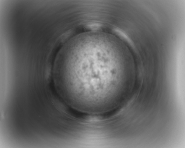 X0000088450073200706051314
