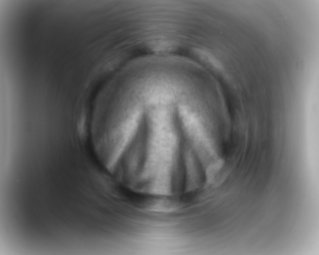 X0000088450074200706051314