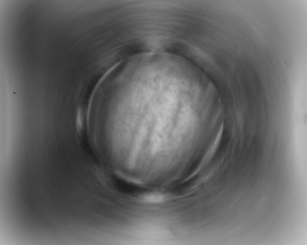X0000088450075200706051314