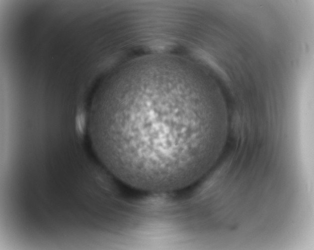 X0000088450076200706051314