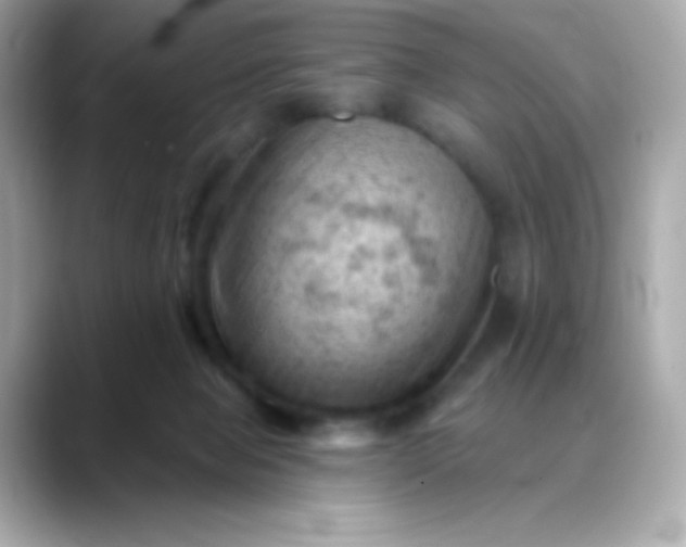 X0000088450077200706051314