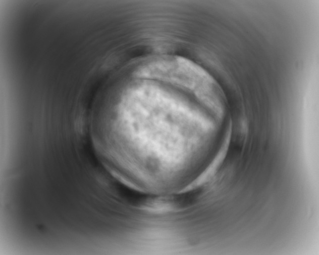X0000088450078200706051314