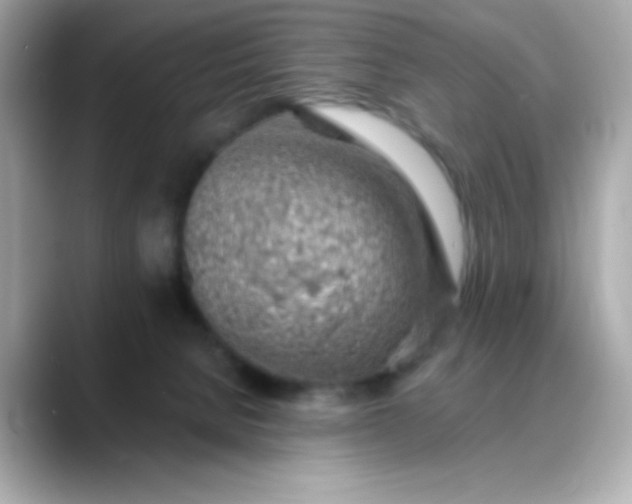 X0000088450080200706051314
