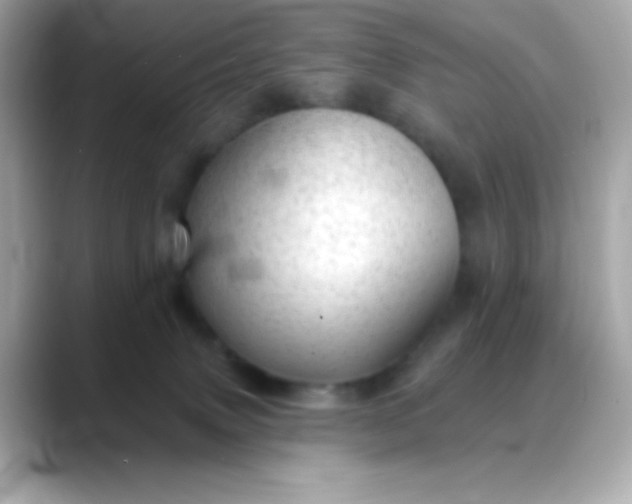 X0000088450083200706051314