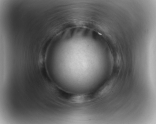 X0000088450084200706051314