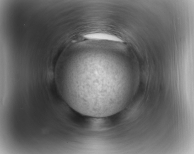 X0000088450085200706051314