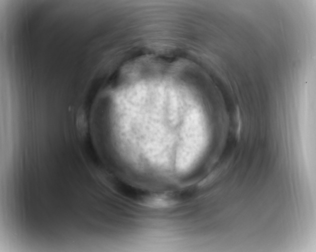 X0000088450086200706051314