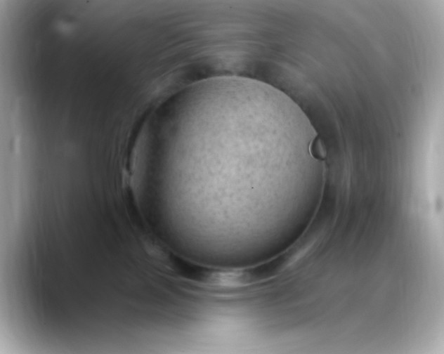 X0000088450089200706051314