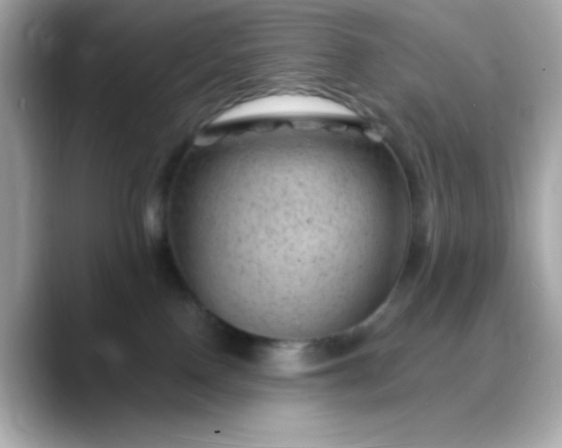 X0000088450090200706051314