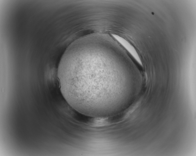X0000088450093200706051314