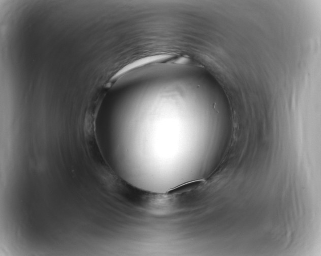 X0000088450096200706051314